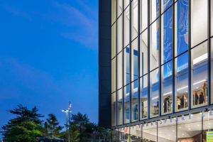 Downtown Brooklyn Redevelopment Plan and Cultural Growth Strategy
