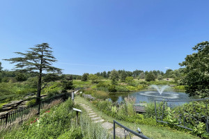 Holden Forests & Gardens Master Plan