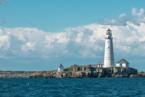 Little Brewster Island (Boston) Stewardship Study